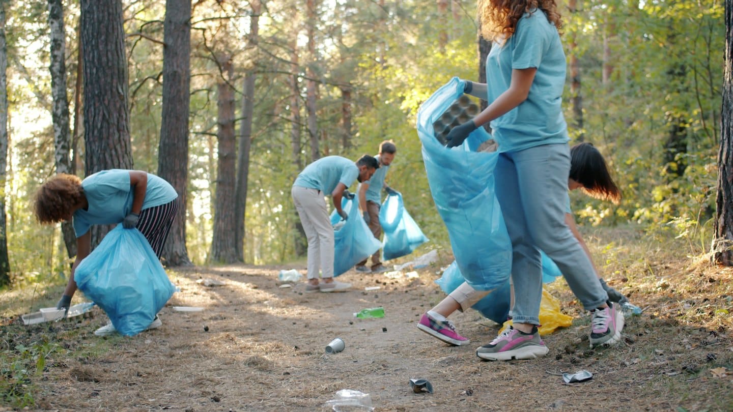 Volunteers collecting trash in blue bags in a sunny forest.