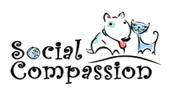 Social Compassion